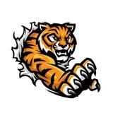 Tiger Paw