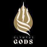 Olympus Gods Portal