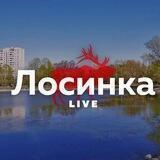 Лосиноостровский район