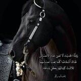 مُجرّد إحِسَاس 🔇