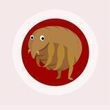LiceCoin