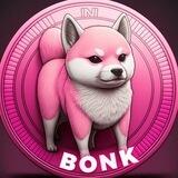 PINK BONK SHIB COIN 🚀 BSC