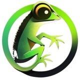 TechGecko