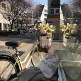 ˚୨୧ florist 🌷