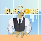 BUFFDOGE CEO