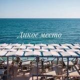 Дикое место