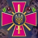 СЛИВЫ ВСУ