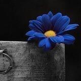 🦋حــــــــــياه وطبيعه🦋