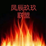 Ai智能全能面膜（AiZN） （凤辰玖玖联盟）