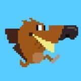 Zig INU Coin portal