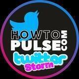 HowToPulse TwitterStorm Group
