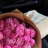Darling Roses