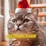 Cocoa Everyday🎄