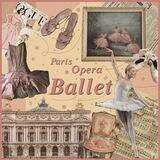 ◌ .˙ ꔫ .. ballerine ㅤ꒱ ୨۪୧