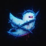 Tweety CM.