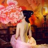 广佛太子妃优选总榜