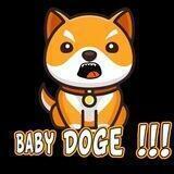 BabyDoge!!!