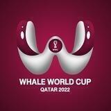 WhaleWorldCup $WWC WIN2EARN