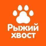 Рыжий хвост Краснодар Настольные игры