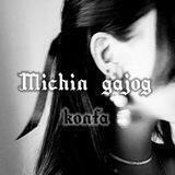 Michin gajog