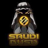 Saudi Busd