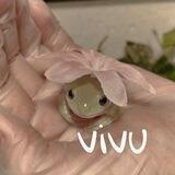 ｡vivu｡