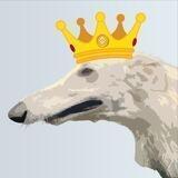 Borzoi INU official