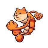 ShrimpDogeOfficial