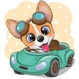 Doge Car Official