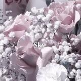 𝐒𝐤𝐲~ [канал]