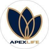 Страховая компания в Узбекистане Apex life