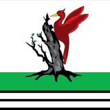 Светлый | Елабуга