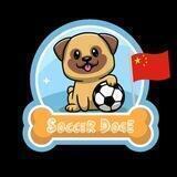 SoccerDoge BSC China 提防假群