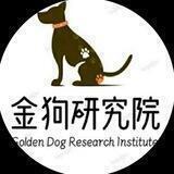 金狗研究院-金狗发布