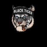 『BLACK TIGER VPN』