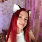 🦊 FUNKY RED FOX 🦊