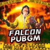 FALCON_PM