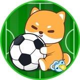 BabyMiniFootball