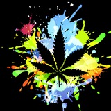 WEED CLUB Official Community