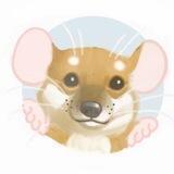 RatDoge Portal