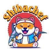 ShibaChef Offical | Dogechain