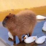 Хрючево
