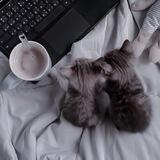 Куᴨᴏᴧ нᴀɯих чуʙᴄᴛʙ.