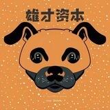 雄才资本