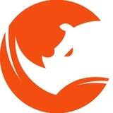 Rhino Teams