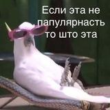 Темы кпоп|аниме|дорамы|манги