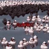⋆ ˚｡⋆˚ ducktales˚⋆｡˚ ⋆