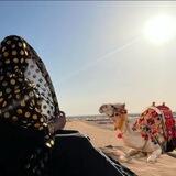 تراحيل.