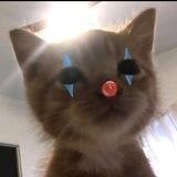 @peraqeu