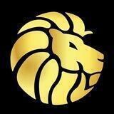 Meta Lion Ventures Network